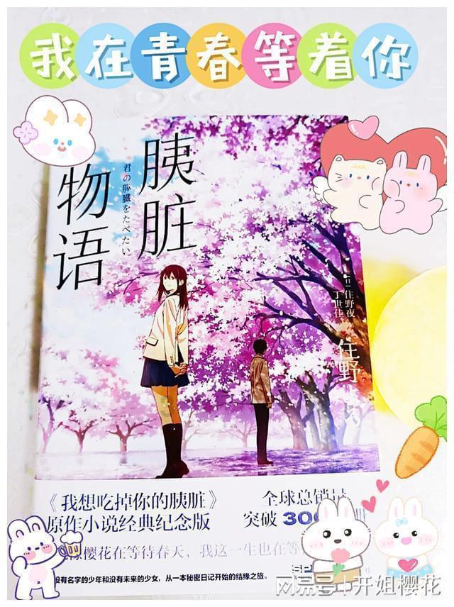 一个承诺